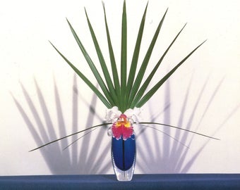 Orchid with Palmetto